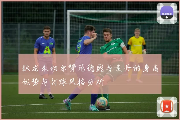 狄龙米切尔赞范德彪与麦丹的身高优势与打球风格分析
