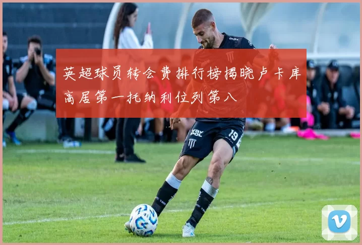 英超球员转会费排行榜揭晓卢卡库高居第一托纳利位列第八
